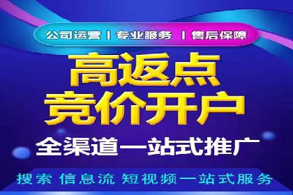 百度竞价与搜索引擎优化（SEO）的协同效应案例